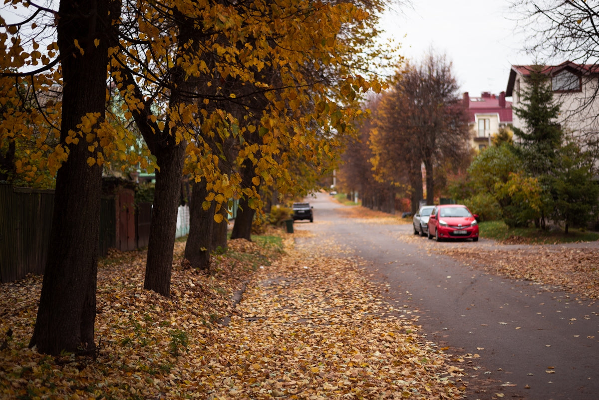 Zbuloni Xhamat e Fenerëve CLA W117 me Stil