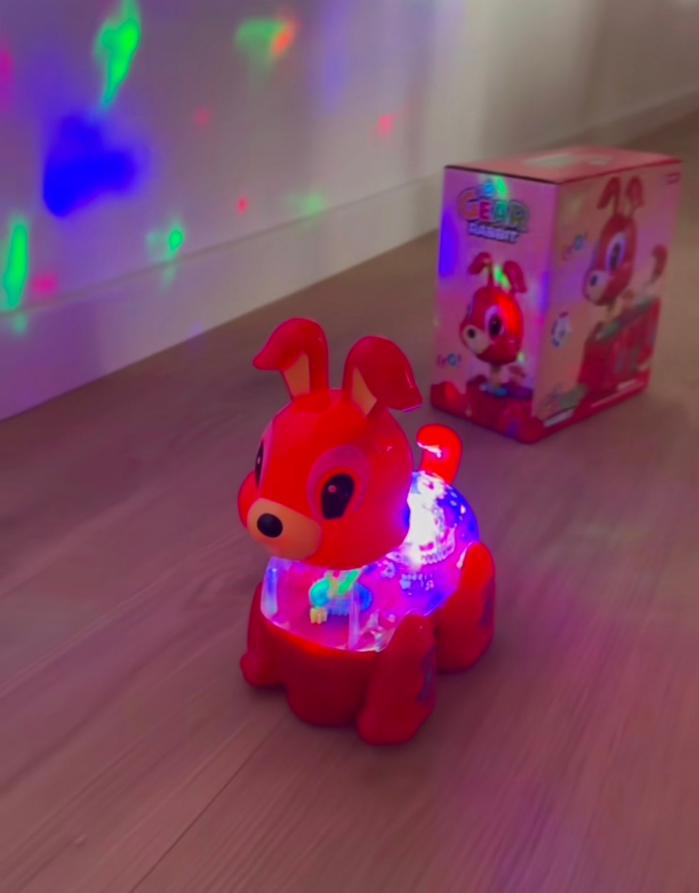 Lepurushi me Drita & Muzikë